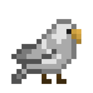 Hawk